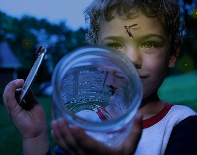 Boy Catching Fireflies and Putting Them in a Jar