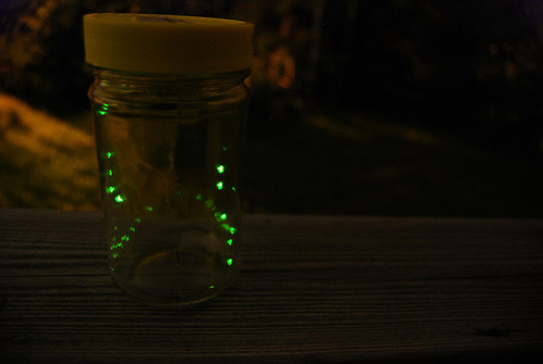 Fireflies in a Jar