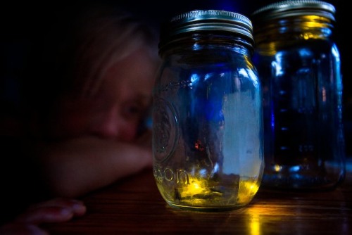 Kids Looking at Fireflies in a Jar
