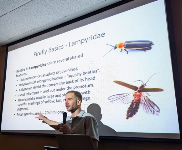 Ben Pfeiffer discusses firefly basics and general facts about the family Lampyridae