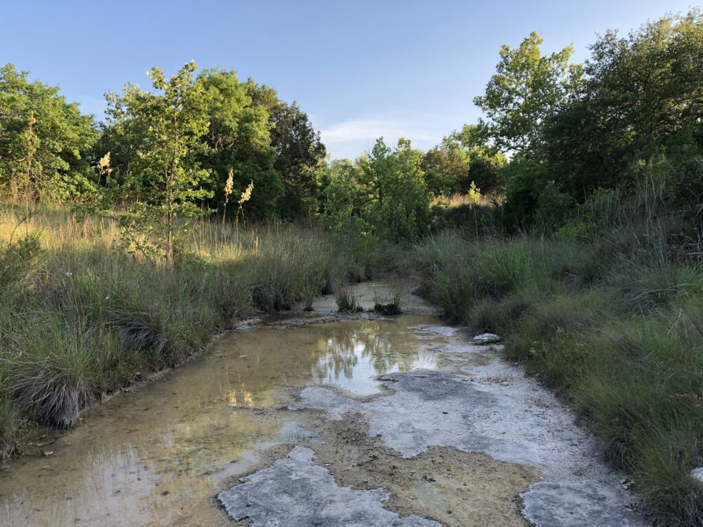 Example of a seasonal riparian area in Bee Caves of Travis Co Texas