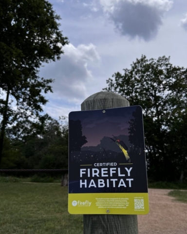 Certified firefly habitat sign on a nature trail