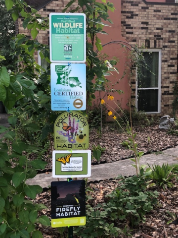 Firefly habitat sign in Louisiana