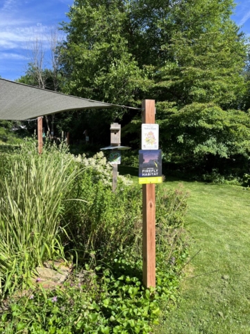 Wisconsin yard with firefly habitat sign